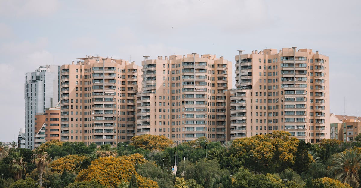 Jardin del Turia: Ontdekking van een Groene Oase