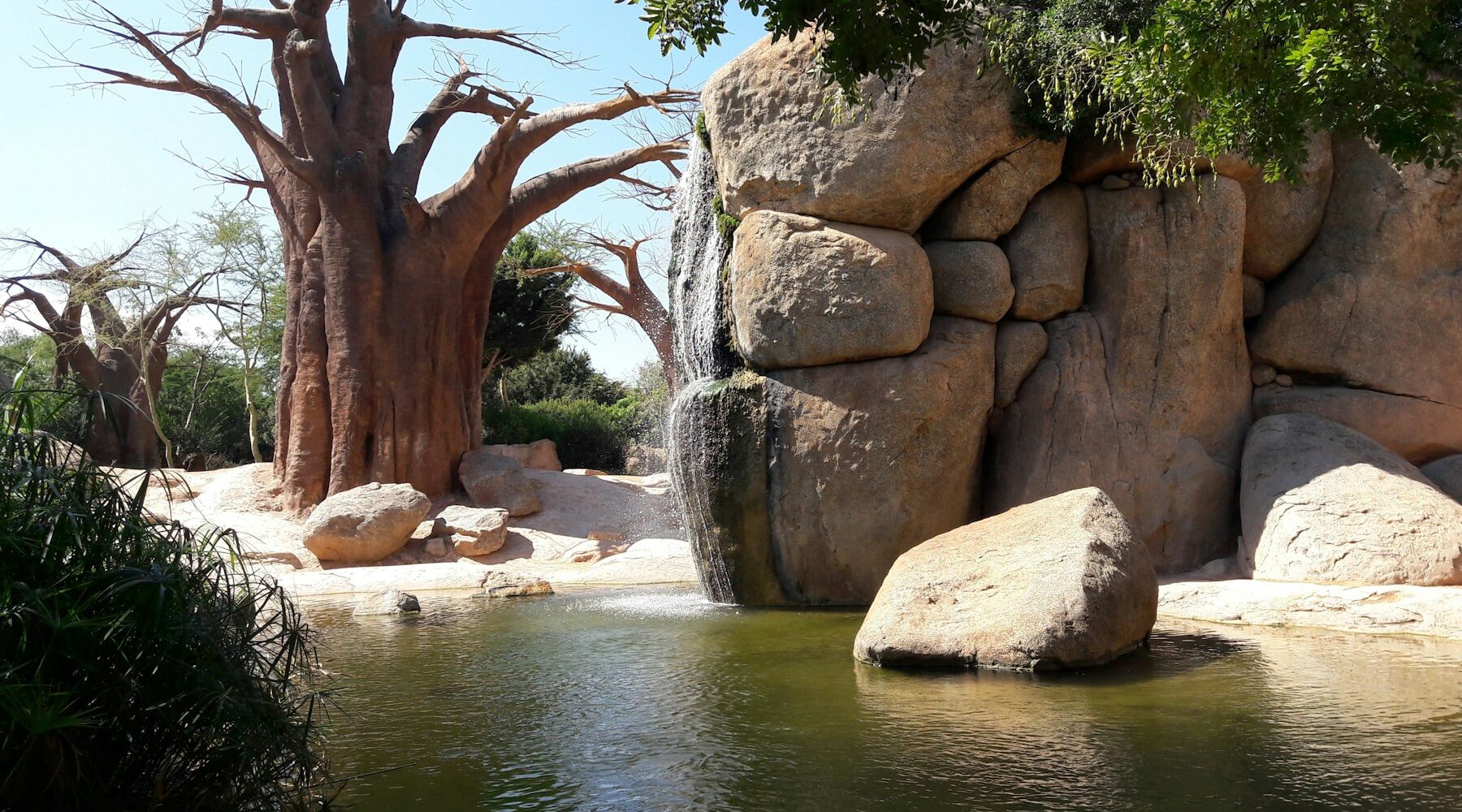Bioparc Valencia: Een Uniek Dagje Uit in Spanje