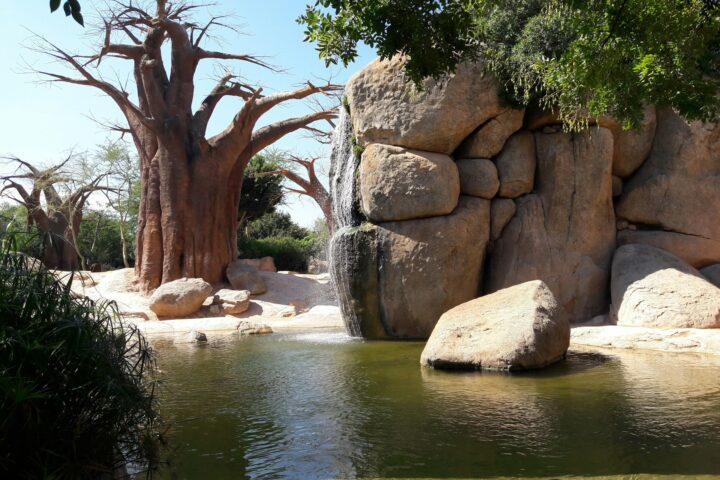 Bioparc Valencia: Een Uniek Dagje Uit in Spanje