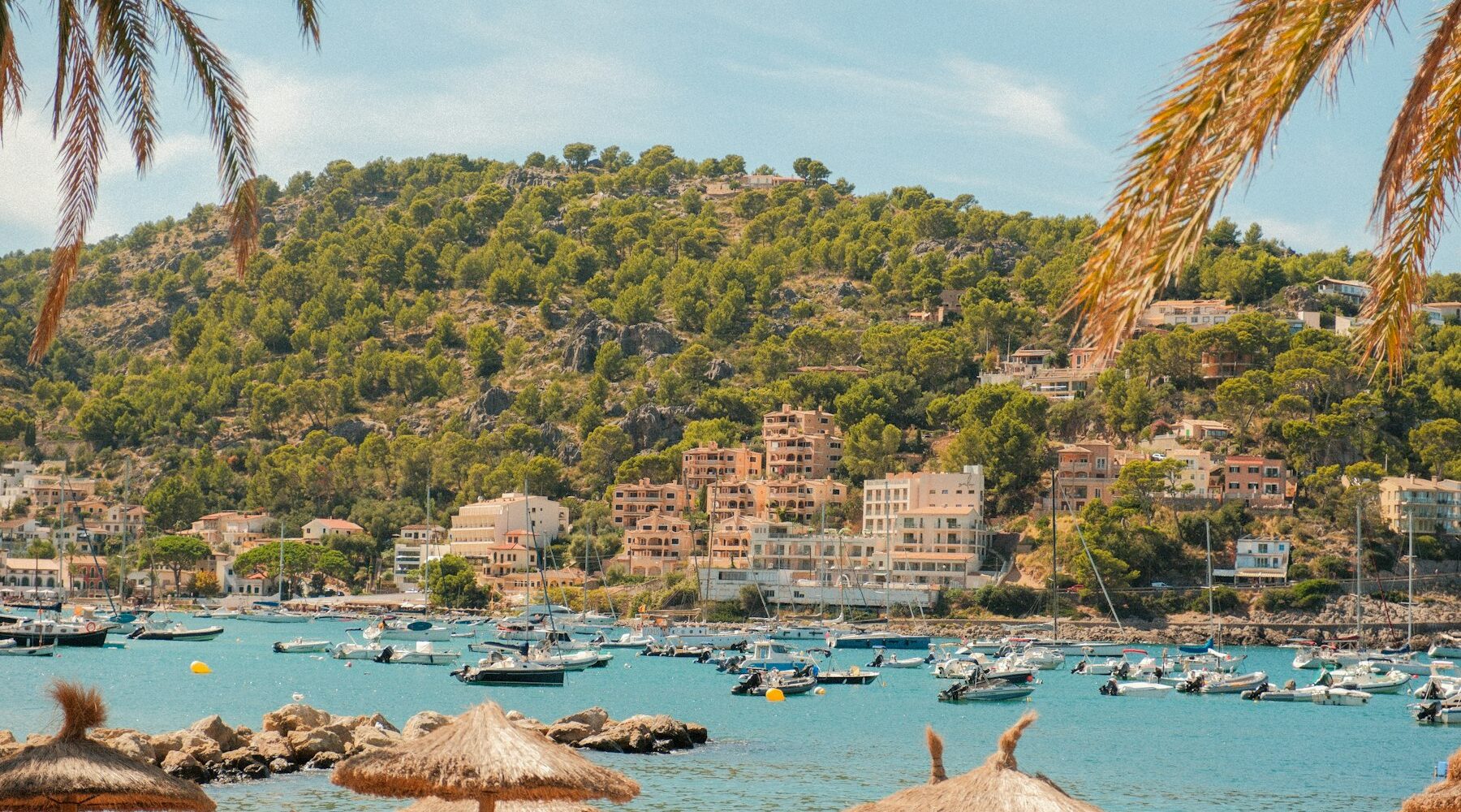 Ultieme Gids: Mallorca & La Palma Ontdekken