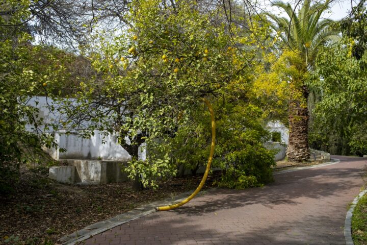 Parque de Malaga Ontdekken: Mijn Top Tips