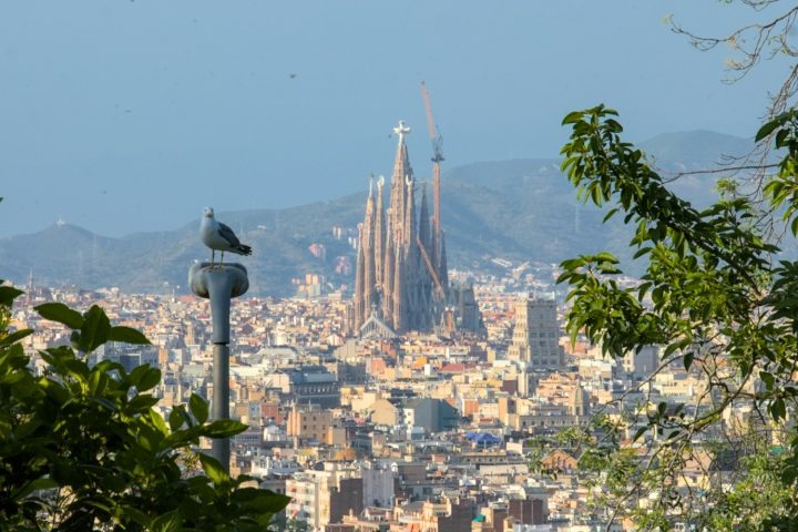 Wanneer is de Sagrada Família klaar? De stand in 2026