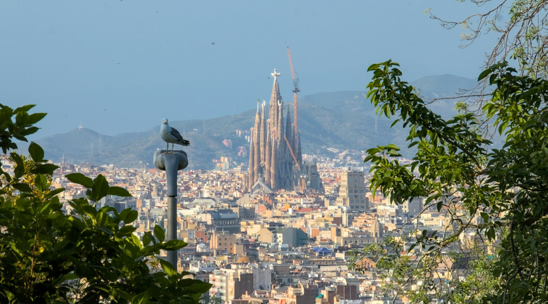 Wanneer is de Sagrada Família klaar? De stand in 2026